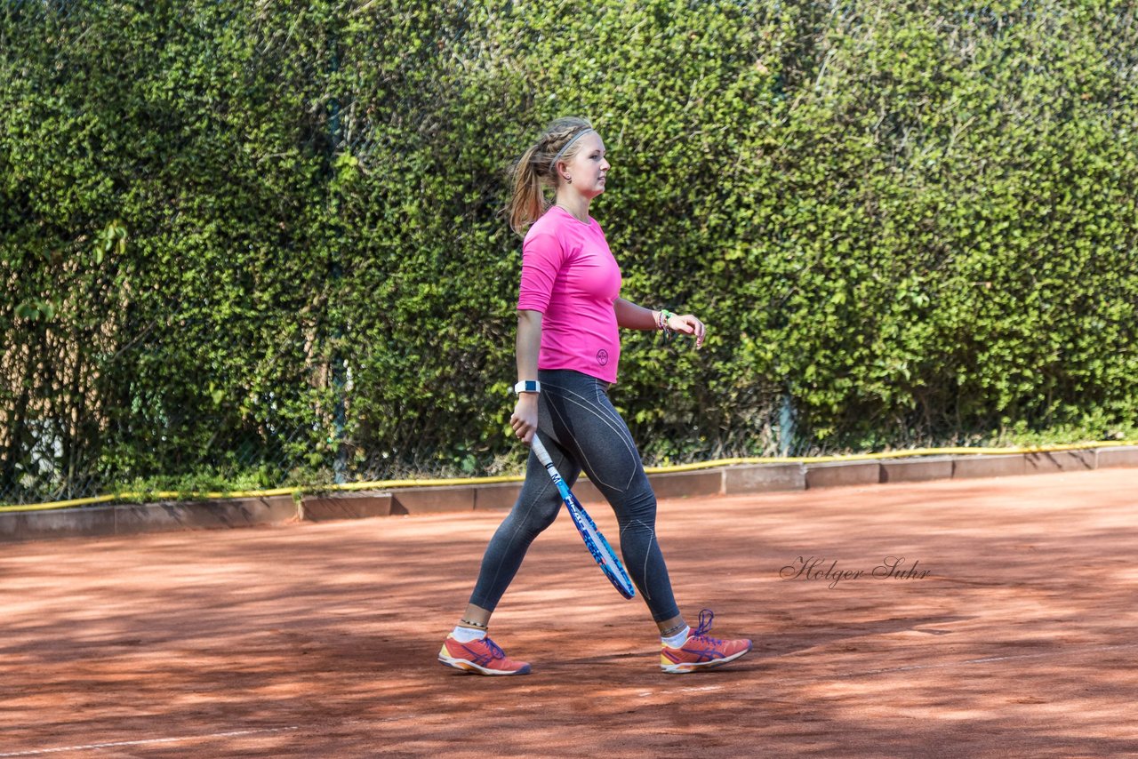 Bild 336 - VL Marienthaler THC - THC von Horn und Hamm